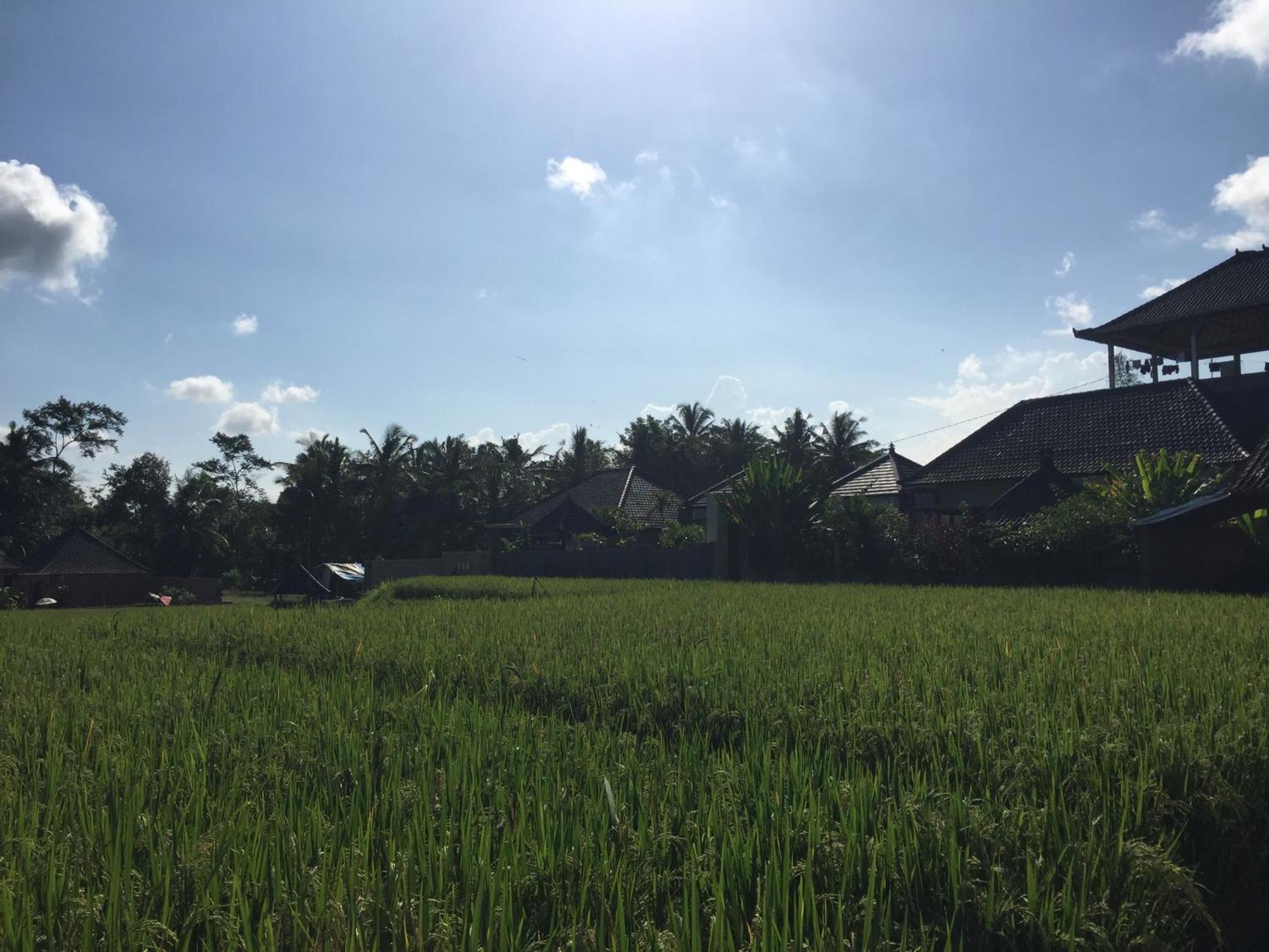 Ratna Villa Ubud Værelse billede