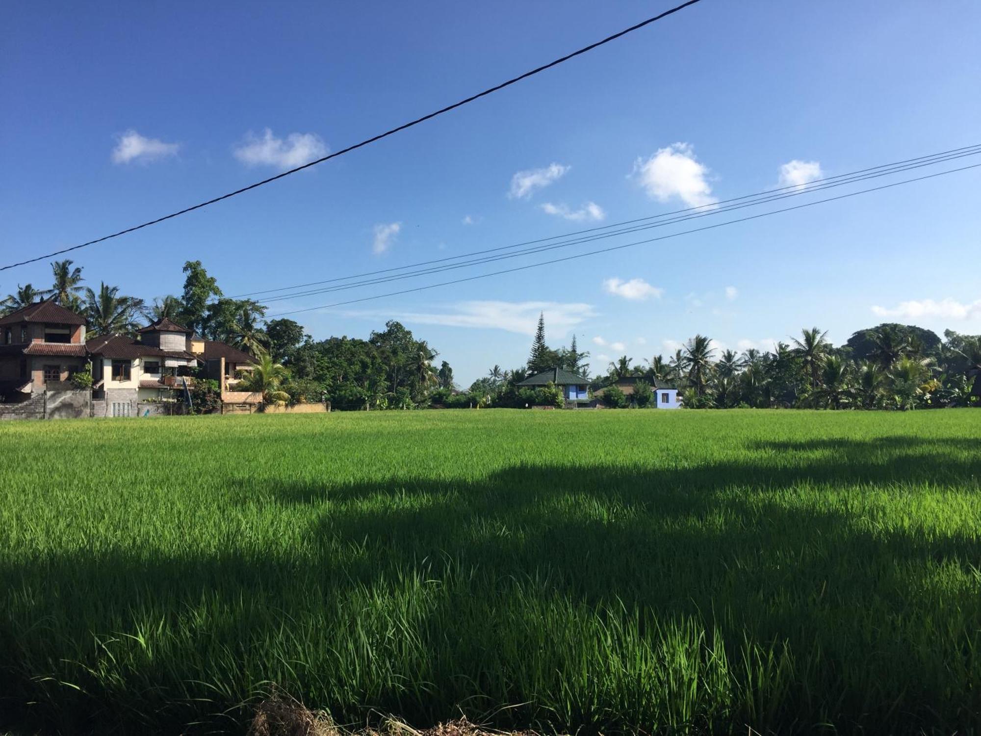Ratna Villa Ubud Værelse billede