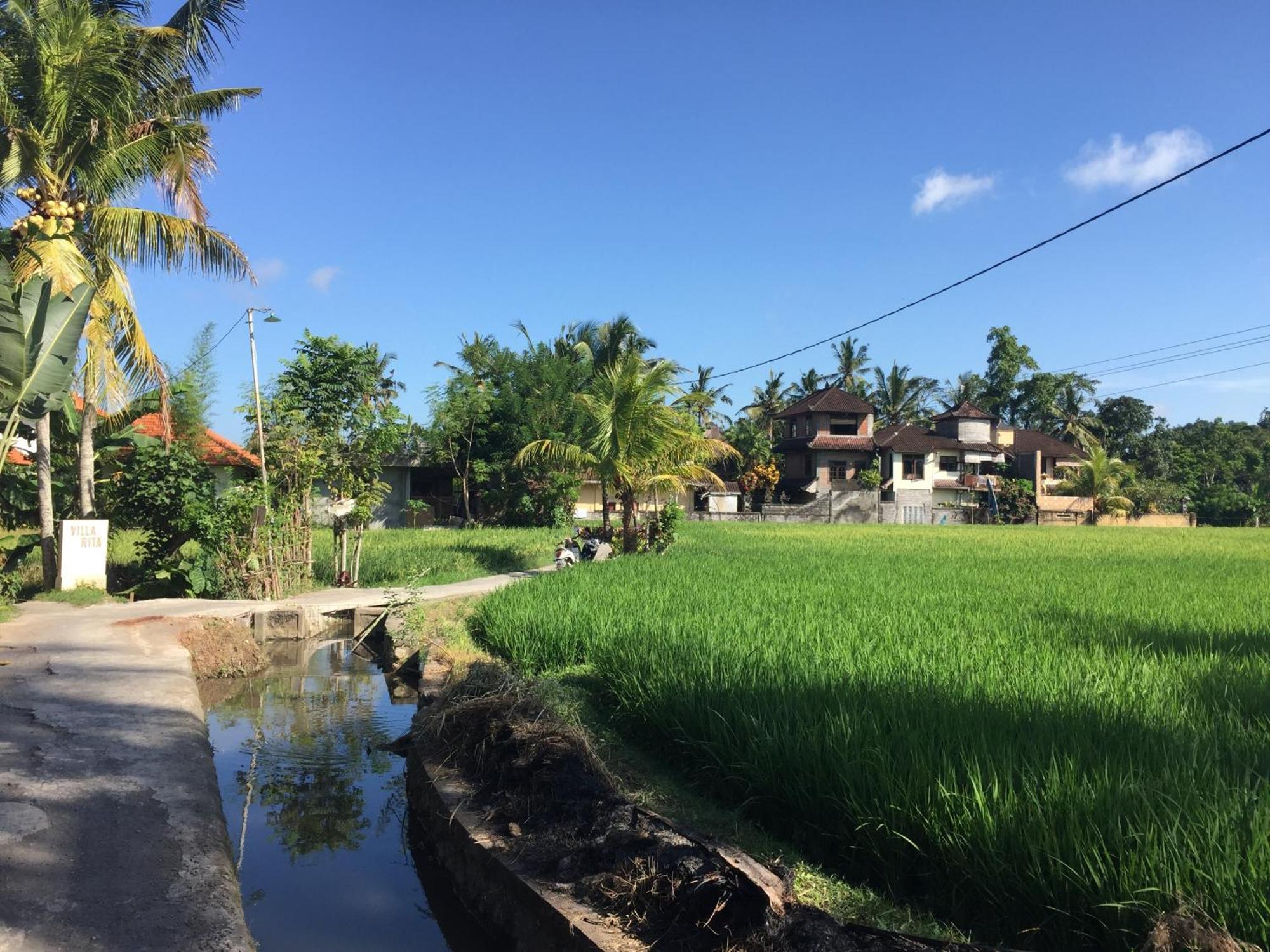 Ratna Villa Ubud Værelse billede